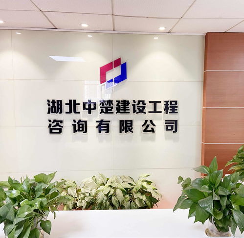湖北中楚建設(shè)工程咨詢(xún)